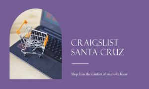 Craigslist Santa Cruz