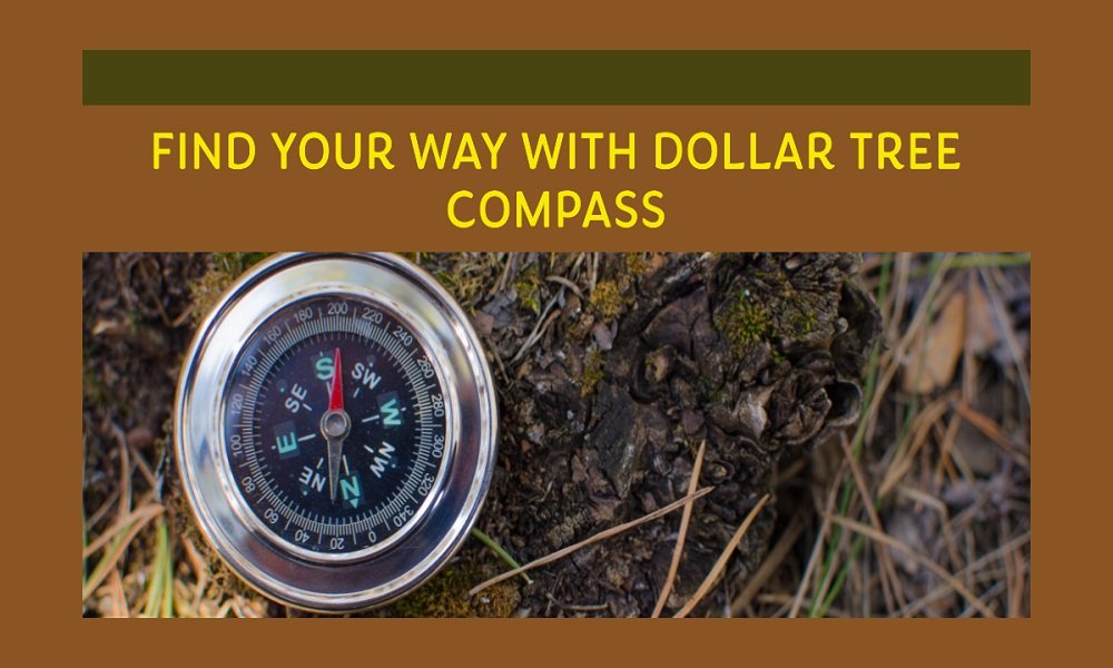dollar tree compass